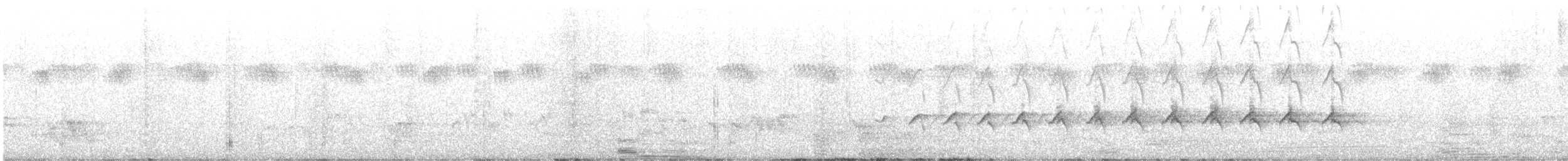 Gabar Goshawk - ML612751229