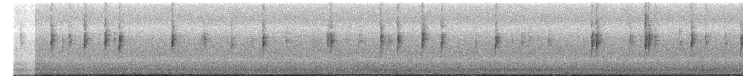 キヅタアメリカムシクイ（auduboni） - ML612754797