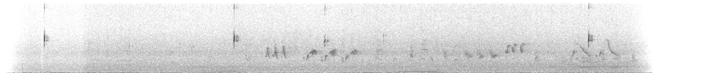 Australasian Grebe - ML612756918