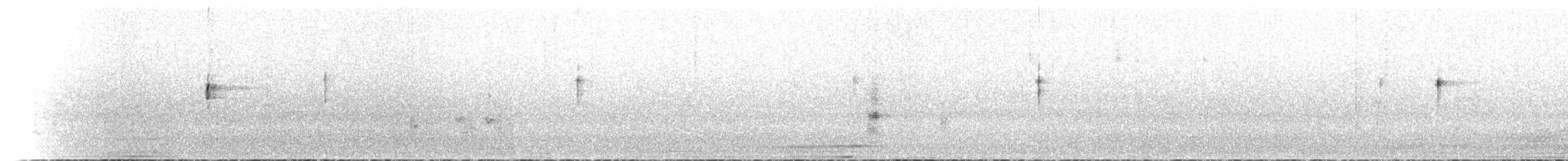 Australasian Grebe - ML612756921
