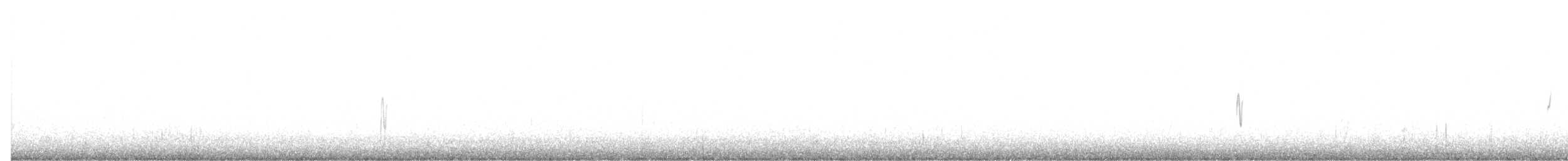 扁嘴海雀 - ML612757283