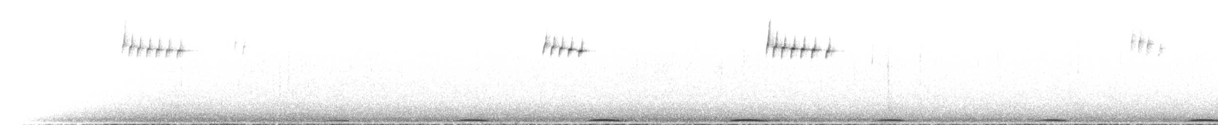 holub chocholatý - ML612758510