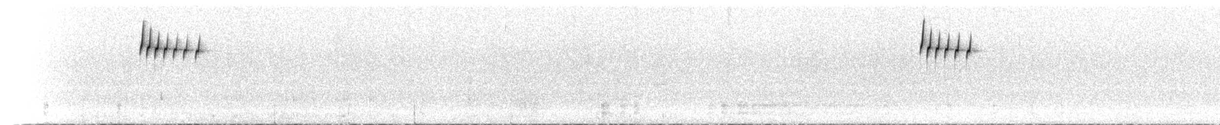Белобрюхий амитис - ML612758531