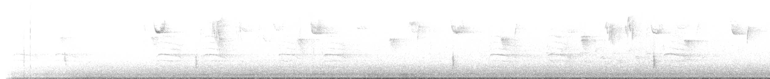 Hermit Thrush (faxoni/crymophilus) - ML612761252