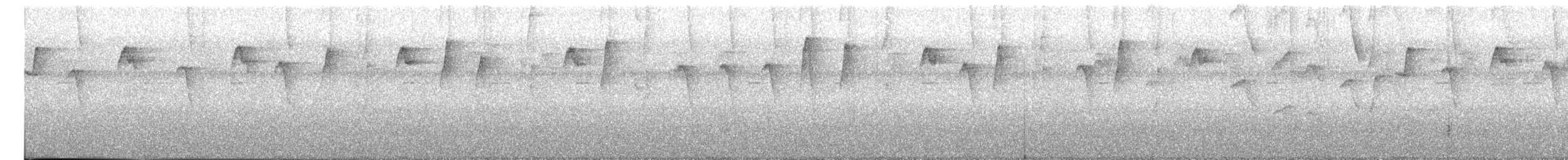 Пестрогорлый колибри-отшельник - ML612763051