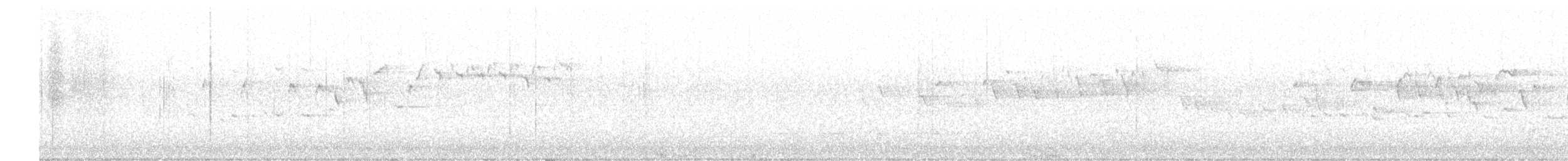 フユミソサザイ - ML612763488