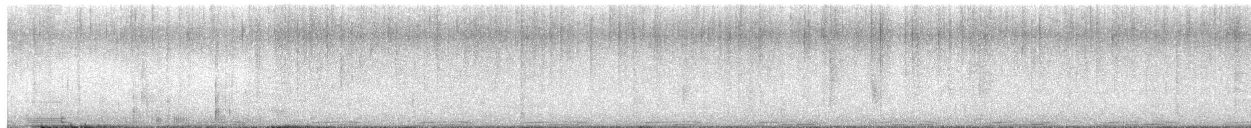 holub skalní (domácí) - ML612765600