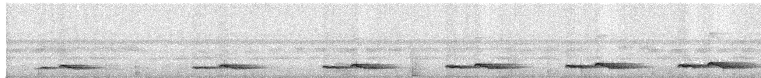 Зозуля білогорла - ML612766057