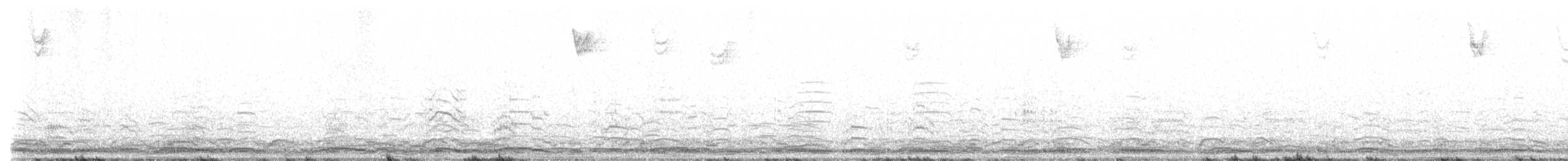 Cygne siffleur - ML612767892