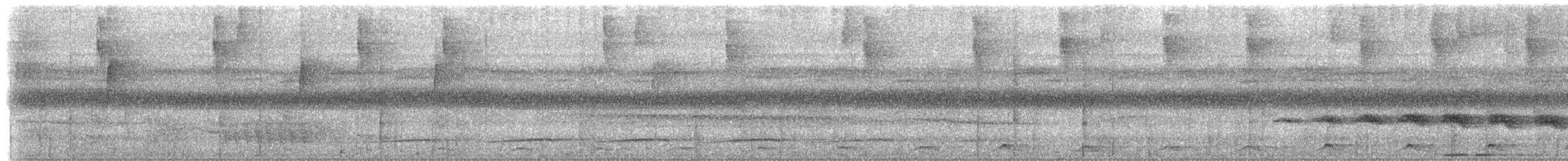 Чернохвостый трогон [группа melanurus] - ML612768725