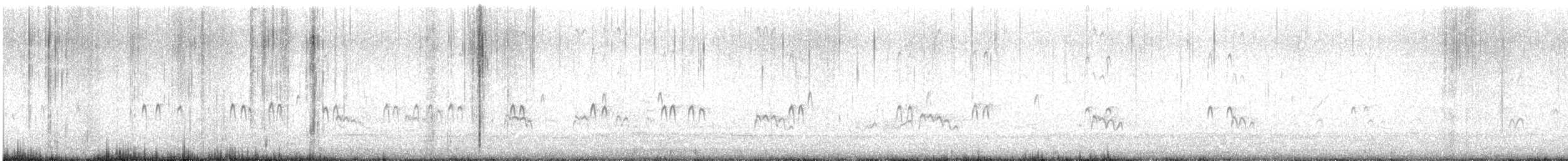 sand-plover sp. - ML612771019