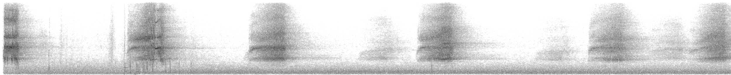 メンフクロウ（tuidara グループ） - ML612780025