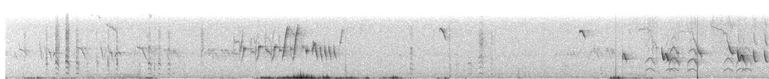 White-crowned Shrike - ML612780886