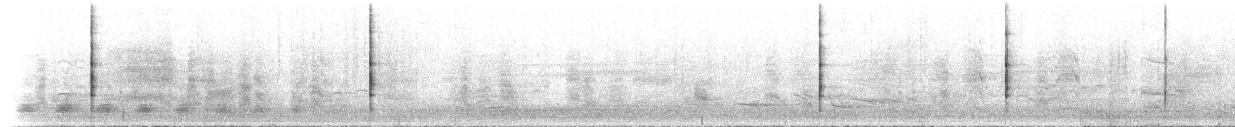 Black-tailed Nativehen - ML612781017