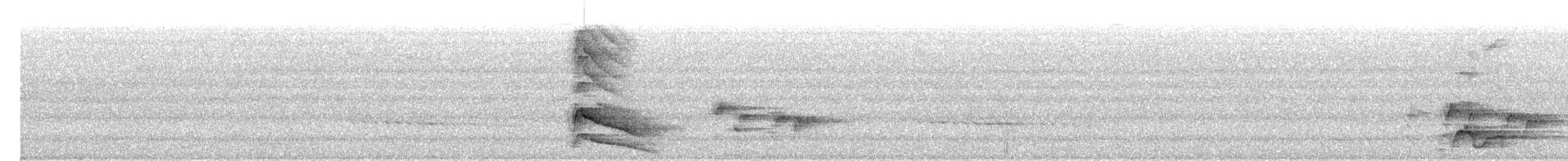 Bar-bellied Pitta - ML612781282