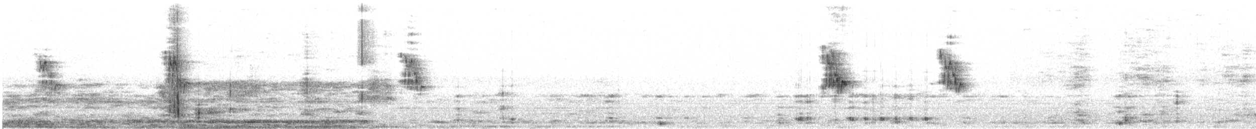 Berthelot's Pipit - ML612781675