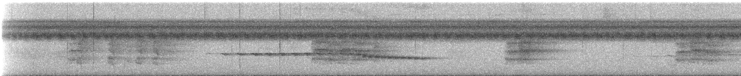 Grauwangen-Ameisenvogel - ML612781849