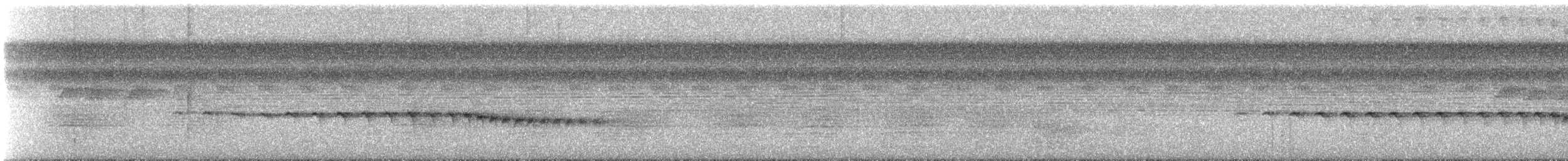 Grauwangen-Ameisenvogel - ML612781850