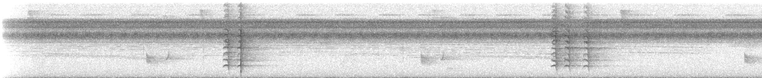 Plush-crested Jay - ML612781852