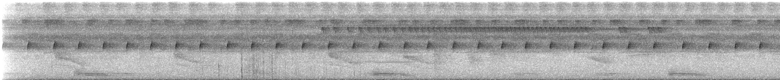 Motmot à bec large (groupe pyrrholaemum) - ML612781927