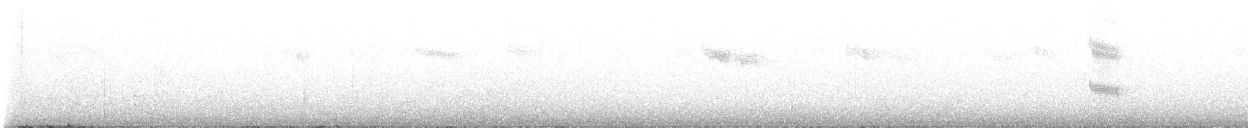 Цагаан хөмсөгт хөөндэй - ML612786654