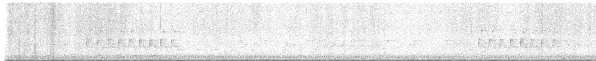 Каролинский крапивник [группа berlandieri] - ML612788913