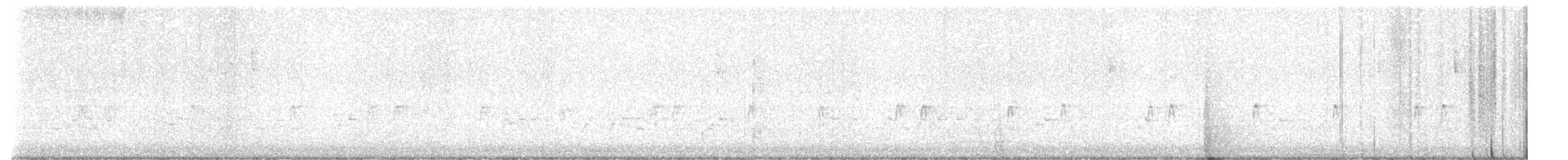 Karolina Çıtkuşu [berlandieri grubu] - ML612788914