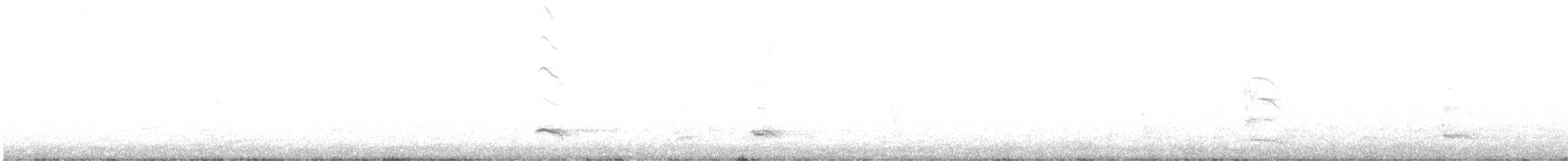 Бонапартова чайка - ML612791662