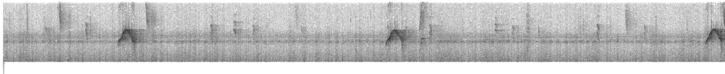 Weißstirn-Kleintyrann [leucogonys-Gruppe] - ML612791866