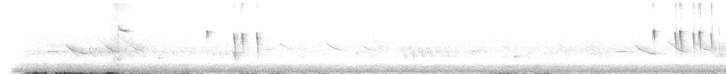 Weißscheitel-Kleintyrann - ML612795312