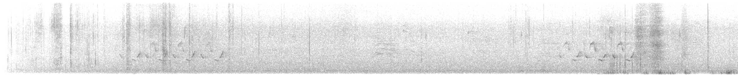 Каролинский крапивник - ML612797632