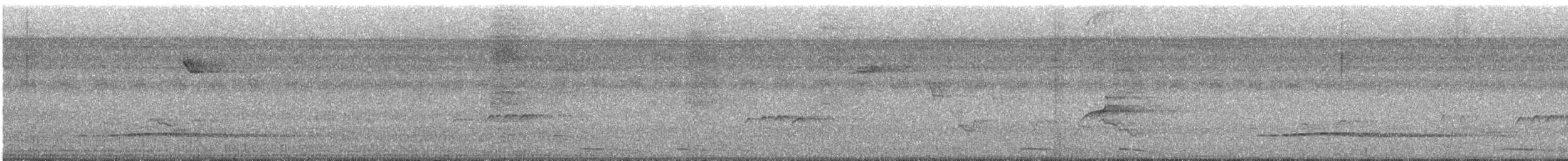 Little Tinamou - ML612800574