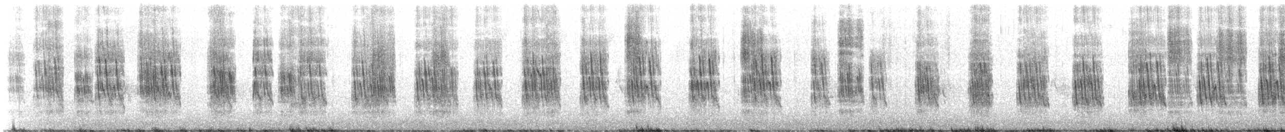 Chileschwalbe - ML612800711