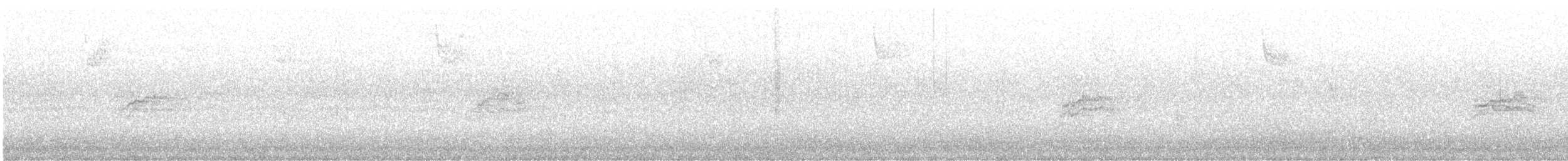 Дрізд-короткодзьоб плямистоволий - ML612802798