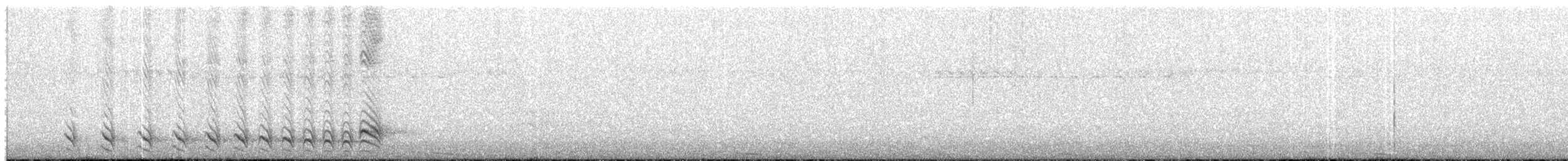 Чернополосый колючник [группа doliatus] - ML612804476