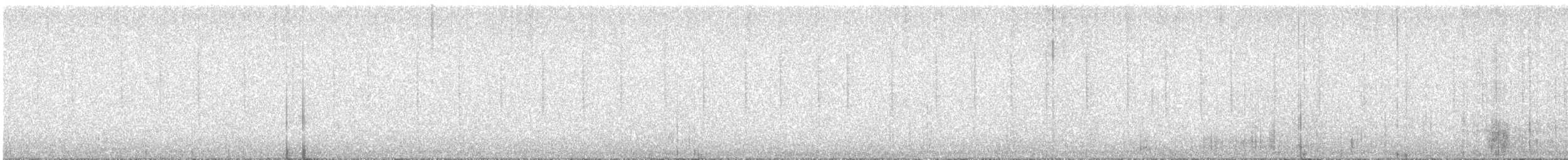 Colibri de Xantus - ML612804772