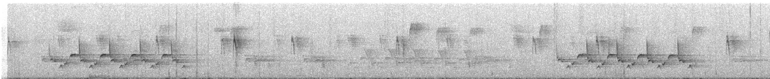 チャバラマユミソサザイ - ML612805731