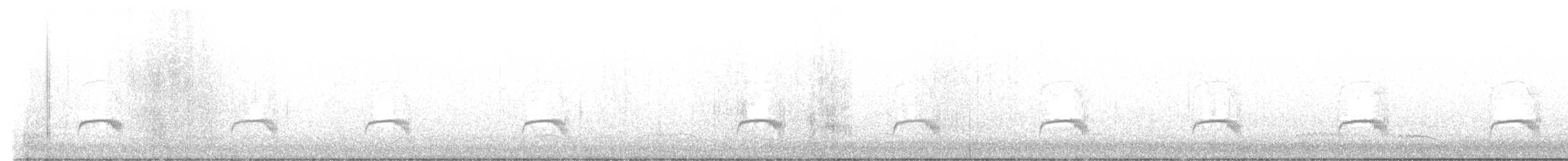 Schmalspiegel-Nachtschwalbe - ML612806852