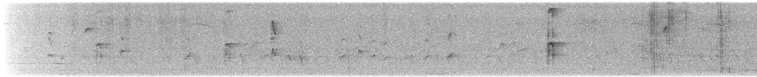 strakapoud americký [skupina harrisi] - ML612806878