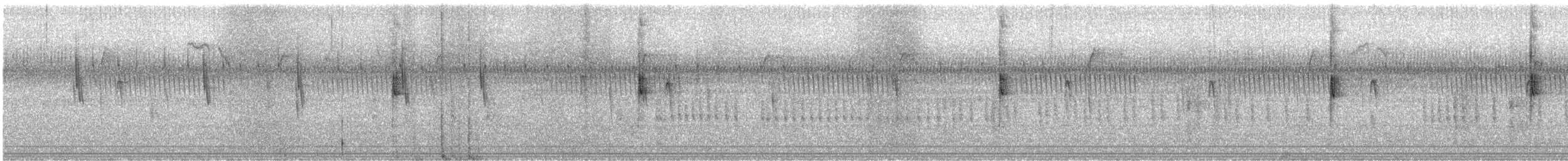 Northern Waterthrush - ML612808449