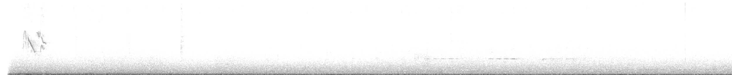 konipas bílý (ssp. lugens) - ML612808460