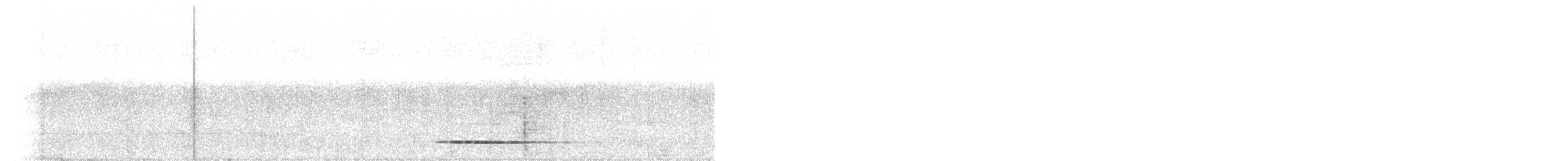 Thicket Tinamou - ML612808683