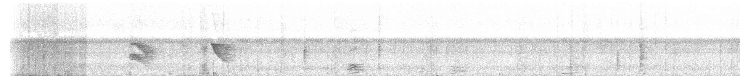 White-collared Manakin - ML612808716