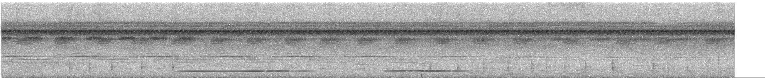 White-throated Tinamou - ML612812072