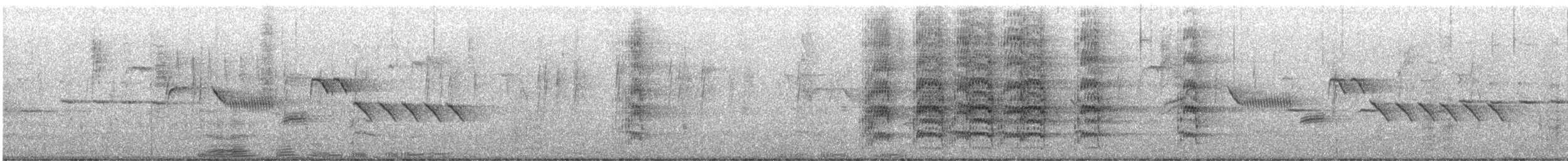 Bewick's Wren - ML612813746