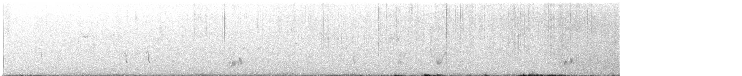 California Thrasher - ML612813765