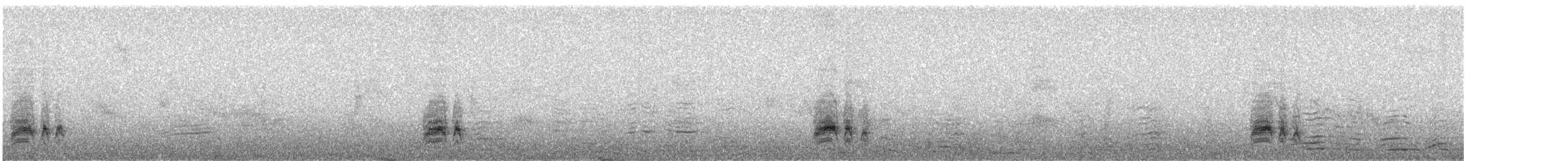 gråflanketrosteskvett - ML612822497
