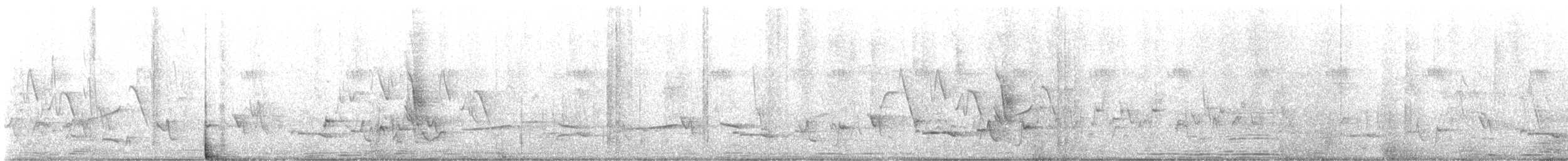 White-browed Robin-Chat - ML612822693