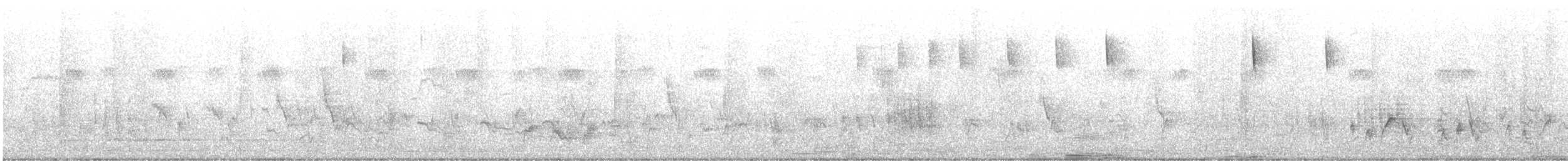 Purple Grenadier - ML612823170