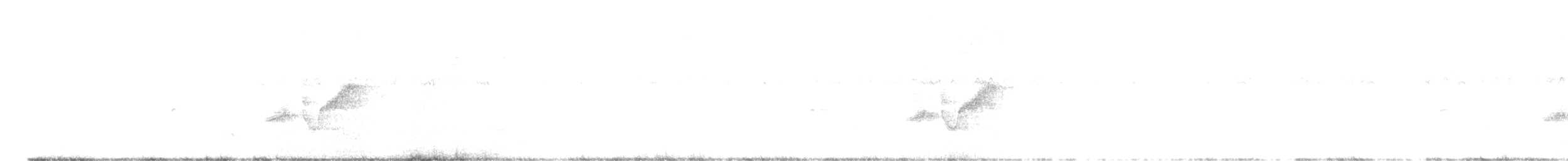 Olivscheitel-Borstenvogel - ML612823180